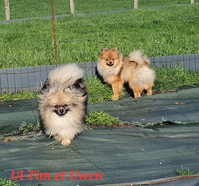Les Jardins De Titan, Eleveur de Chiens à Péaule