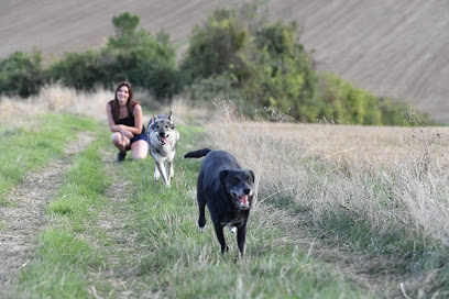 Anim's Dog - Education Canine, Dresseur De Chiens à Bazemont