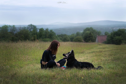 Symbiose - Sarah Bonnefoy - Educateur Canin Comportementaliste Dresseur De Chiens à Pirey