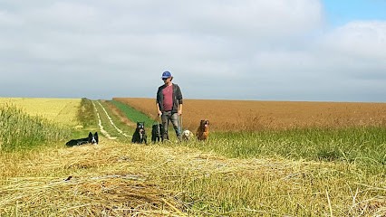Éducateur Canin Occitanie, Dresseur de Chiens à Narbonne