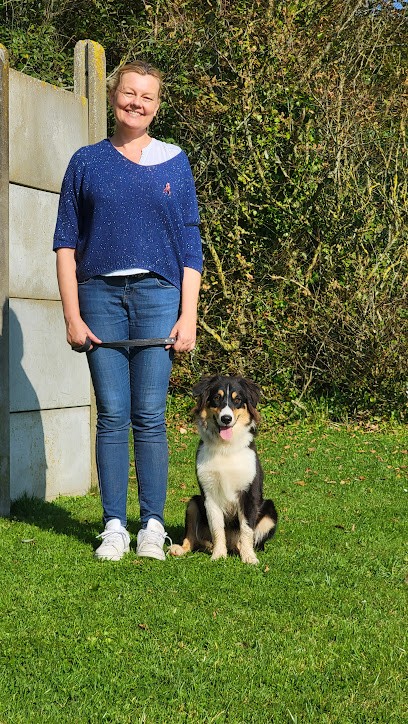 Club Canin Saint-Martin-Boulogne, Dresseur de Chiens à Saint-Martin-Boulogne