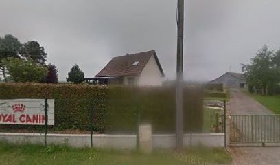 Pensions pour animaux., Pension pour Chiens à Oresmaux