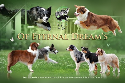 Of Eternal Dreams, Eleveur de Chiens à Salagnac