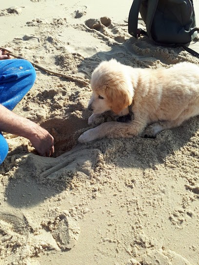 Azzopardi Georges, Eleveur de Chiens à Prigonrieux