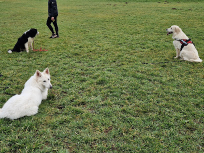 Simply Dog Maëlys Lariviere- Éducatrice Comportementaliste Canin Dresseur De Chiens à Terrasson-Lavilledieu