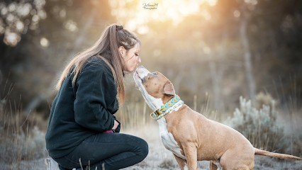 King Dog Marseille - Éducateur Canin, Dresseur de Chiens à Marseille 08