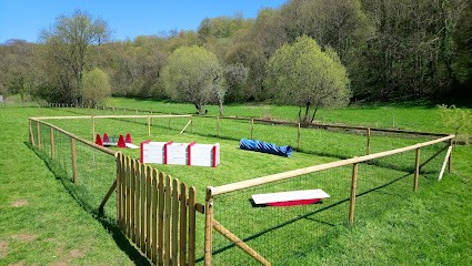 Elevage du Flocon d'Argent, Eleveur de Chiens à Nant-le-Petit