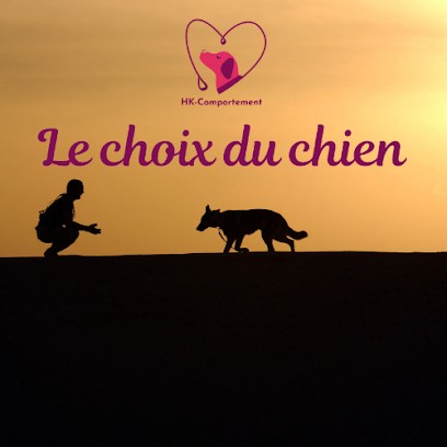 HK-comportement : communiquer avec son chien, Dresseur de Chiens à Val-au-Perche