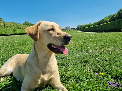 Elevage du Haut de Crecy, Eleveur de Chiens à La Haute-Maison