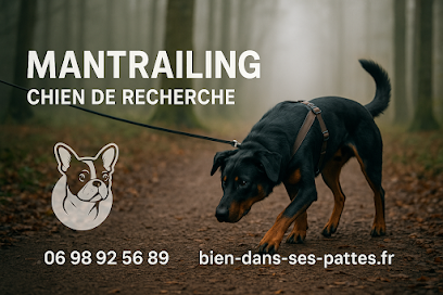 Bien Dans Ses Pattes, Dresseur De Chiens à Wolfersdorf