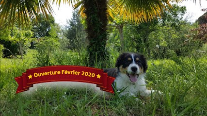 APCF - 'Chez Alex' - Pension Canine, Pension pour Chiens à Monlezun-d'Armagnac