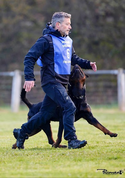 Sebastien Rivaud - Educateur Sport Canin Uzes - Étude Comportement - Rééducation - Formation Permis Détention, Dresseur de Chiens à Saint-Siffret