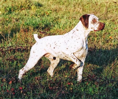 Le Rocher des Jastres, Eleveur de Chiens à Saint-Raphaël