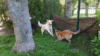 4 Pat' Confort Et Santé, Pension pour Chiens à Auffargis