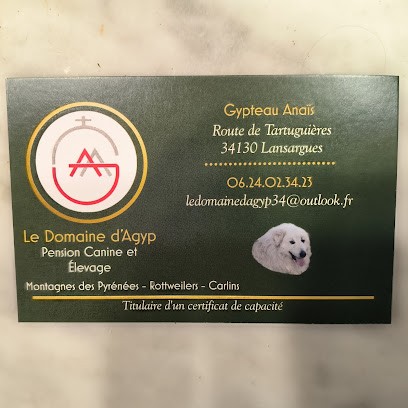 Le Domaine d'Agyp, Eleveur de Chiens à Lansargues