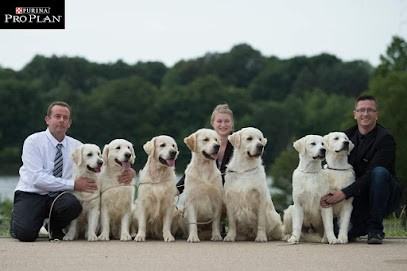Bihan Ki Breizh, Eleveur de Chiens à Plougonven