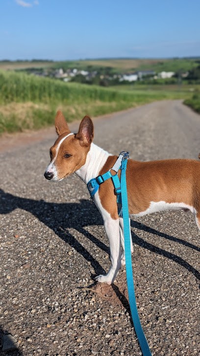Des Fringants Complices, Eleveur de Chiens à Nomeny