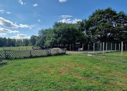 Domaine De La Forêt 42 Pension Pour Chien à Noailly
