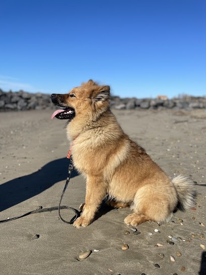 Elevage De La Vallee De Rose Aups, Eleveur de Chiens à Charavines