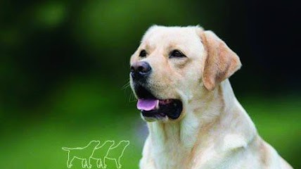 ELEVAGE DU PRE DE L'EGVONNE, Eleveur de Chiens à Bréville