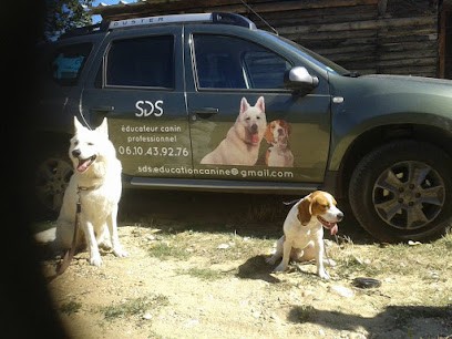Sds Education Canine, Dresseur de Chiens à Primarette