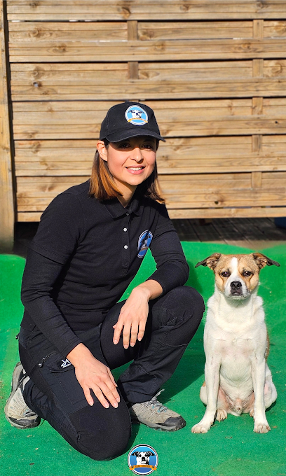 Dog Keeper - Éducateur Canin À Nîmes, Dresseur De Chiens à Garons