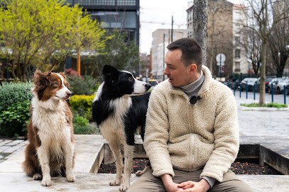 Les Chiens de Victor - Education en ligne et présentiel / meute, Dresseur de Chiens à Romainville