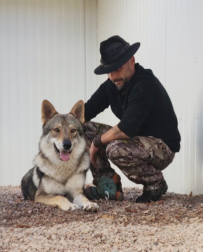 Canis intervention, Dresseur de Chiens à Saales