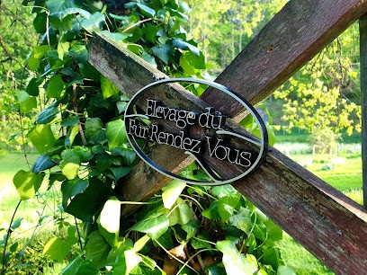 Du Fur Rendez Vous, Eleveur de Chiens à Cheillé