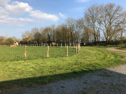 Le Domaine de la Foret, Pension pour Chiens à Sion-les-Mines