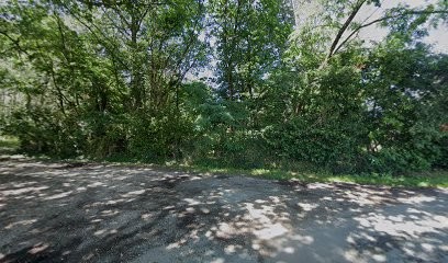 Thp Zootherapie Education Canine, Dresseur de Chiens à Saint-Sulpice-et-Cameyrac