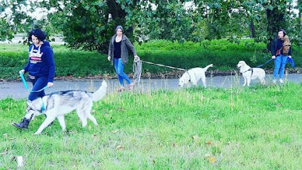 Léa Stephan - Educateur Canin Comportementaliste Angers, Dresseur de Chiens à Sainte-Gemmes-sur-Loire