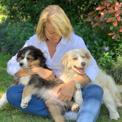 Bergers Joyeux Éleveur De Chiens à Vienne