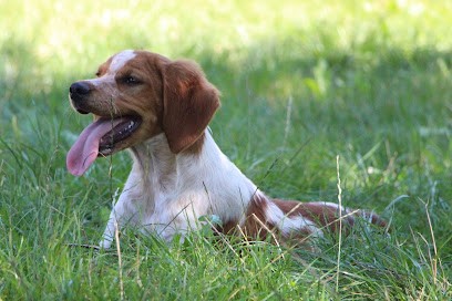 Elevage Du Grand Manot, Eleveur de Chiens à Brézins