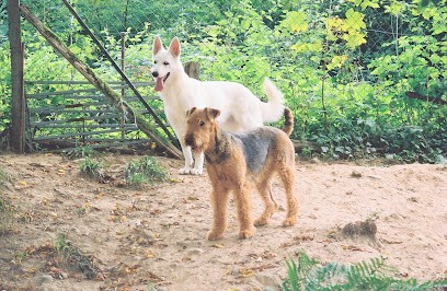 ELEVAGE DU CLOS DU MITTELBERG, Eleveur de Chiens à Carspach