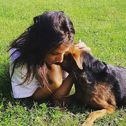 Éducation Et Comportement Canin Angers, Gwendoline Guérin, Dresseur de Chiens à Saint-Barthélemy-d'Anjou