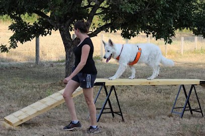 CANIFEEL EDUCATION CANINE ESSONNE, Dresseur de Chiens à Saint-Maurice-Montcouronne