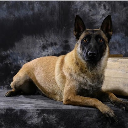 Elevage Des Gardiens De La Plaine, Eleveur de Chiens à Génissieux