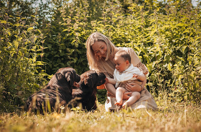 Le Domaine De Maya Pension Pour Chien à Bomy