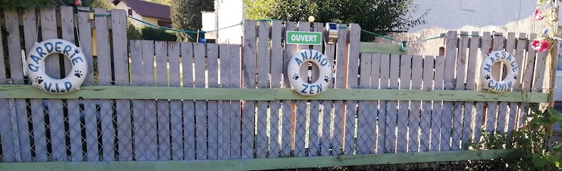 Animo'Zen, Pension pour Chiens à Taintrux