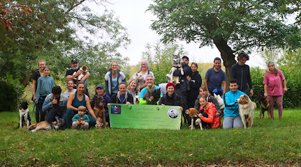 Cani'aventure Dresseur De Chiens à Verdun-sur-Garonne