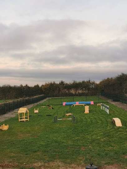 La Patte Du Savoir - Educateur Canin Comportementaliste, Dresseur de Chiens à Saint-Martin-lez-Tatinghem