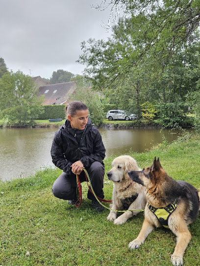 Ami Doggy, Dresseur De Chiens à Buzignargues