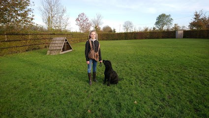 Chenil de la petite mare, Pension pour Chiens à Goustranville