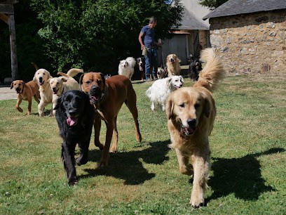 Dogmanship, Dresseur de Chiens à Moulins-le-Carbonnel