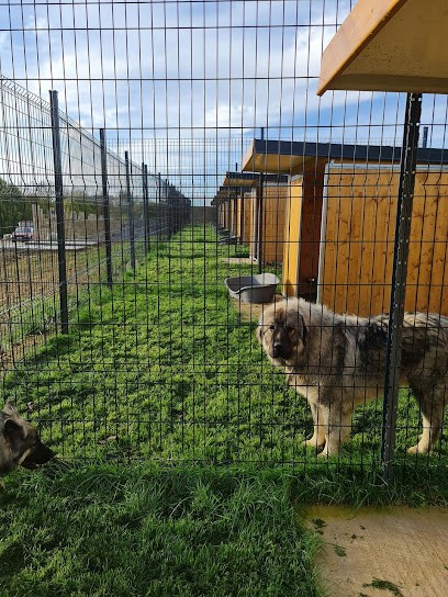 Domaine de Lookan, Pension pour Chiens à Lahaymeix