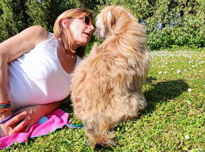 Jecoutemonchien.com Dresseur De Chiens à Boulogne-Billancourt