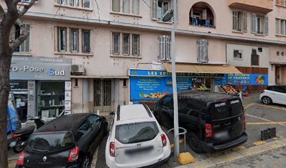 BLUE DOG Marseille - Éducateur Canin, Dresseur de Chiens à Marseille 15