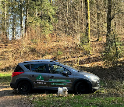 L'ère Des Chiens, Dresseur De Chiens à Niedersteinbach