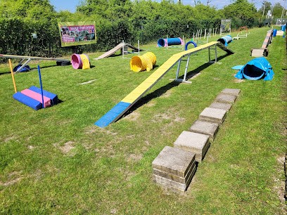 Wouf Éducation, éducateur Et Photographe Canin à Reims, Dresseur de Chiens à Reims